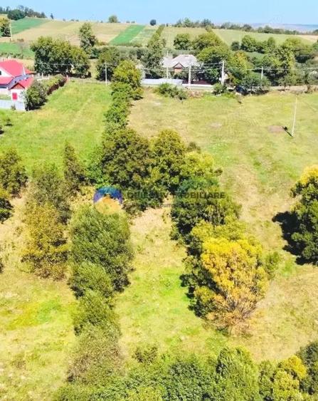 TEREN intravilan 2510 mp BORLE?TI - ?OVOAIA - 7