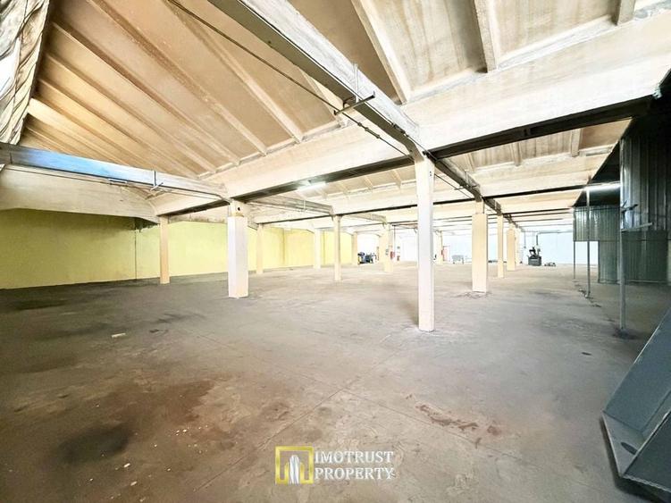 Hala industrială 1.150 mp – Arad, zonă centrala de servicii - 2