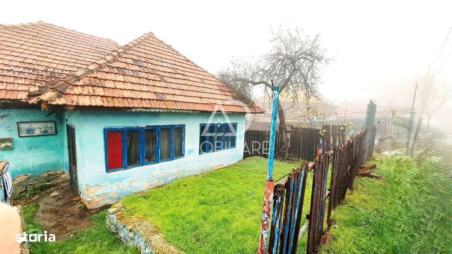 Casa de vanzare in Baia de Fier zona turistica deosebita - 6
