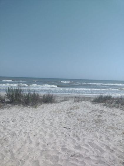 Vadu-Corbu-Teren 2000 mp primul  rand la mare - 8