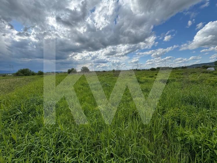 Teren extravilan arabil de vanzare – Bungard, Șelimbar - 2