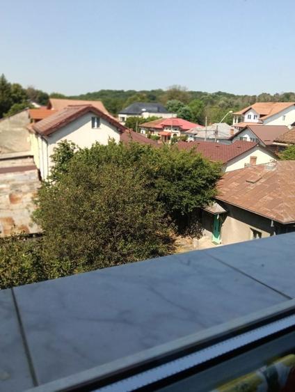 Apartament de vanzare , semicentral !Zona, deosebita,(Padurea Trivale) - 2