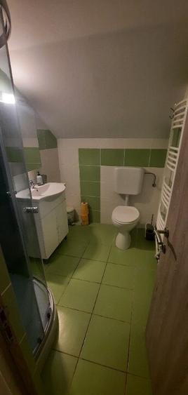 Casa pt investitie in Hunedoara - sat Govajdia - 11