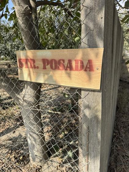 Teren de vanzare - 1