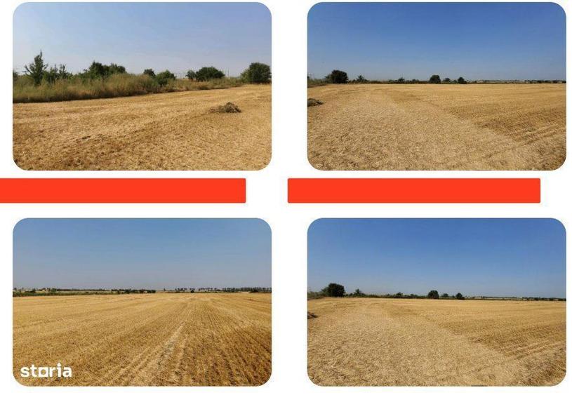 Teren intravilan 6300 mp - Buftea - Ilfov - 3