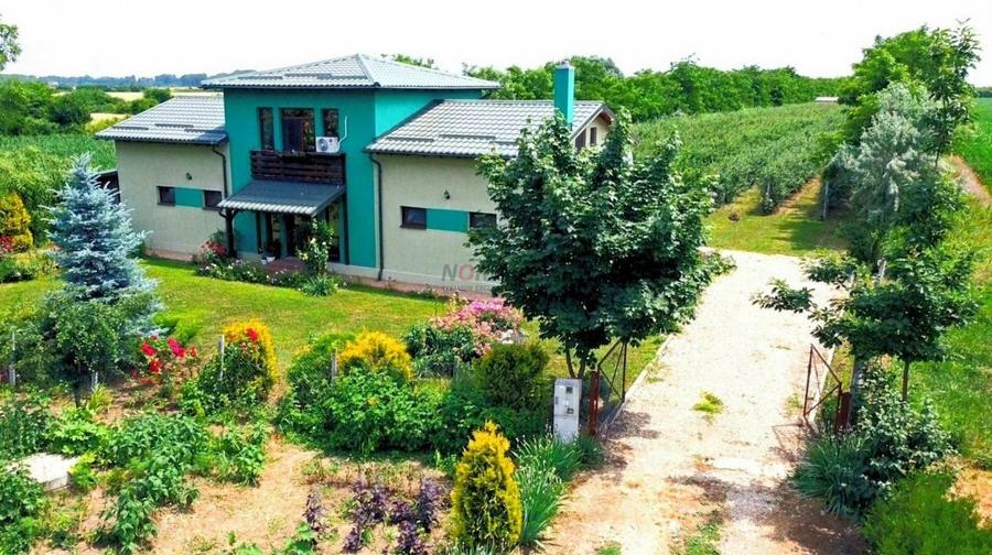 Vila + Afacere 15.000mp Clinceni - 1