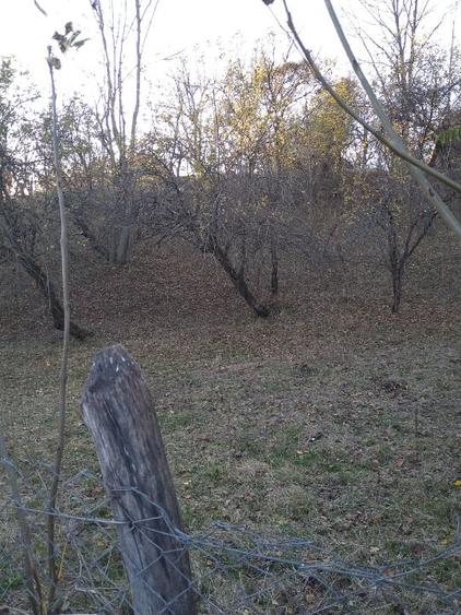 Teren intravilan 3.788 mp, deschidere 39 m, Fieni, sat Costești, jud. Dâmbovița - 5