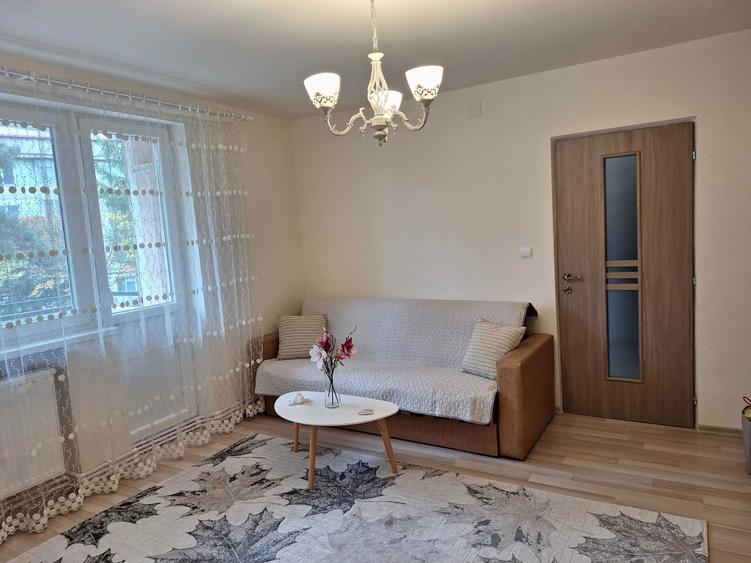 Ofer spre inchiriere apartament cu doua camere situat in Petrosani - 5