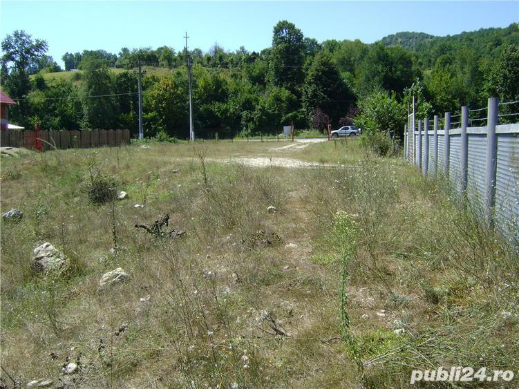 de inchiriat teren in eselnita , jud. mehedinti - 5