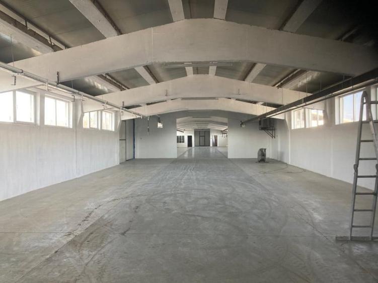 2 Hale industriale din beton, Oras Pecica - 1