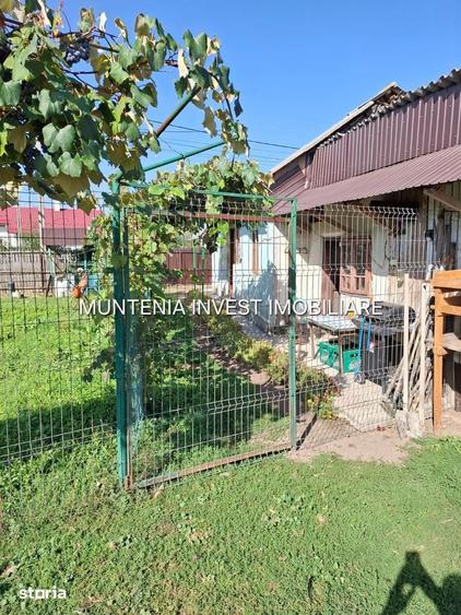Gospodarie de vanzare Bro?teni | 14 km de Pite?ti | Teren 596 mp. - 3