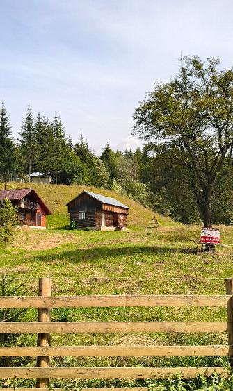 Teren intravilan Valea Doftanei - 14