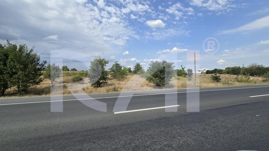 Teren Centura Nord | Giratoriu Albesti | INTRAVILAN | 39 EUR/ mp | 31 m front | - 3