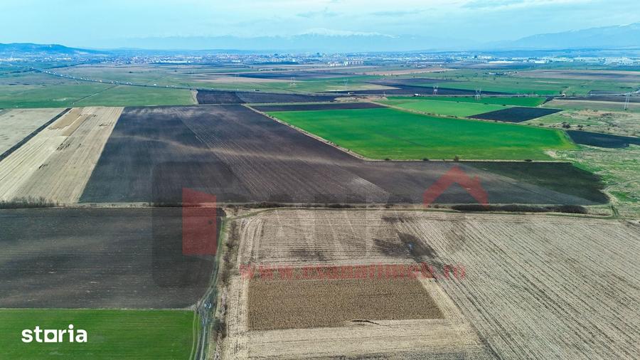 Teren de 74000 mp, în Șura Mică