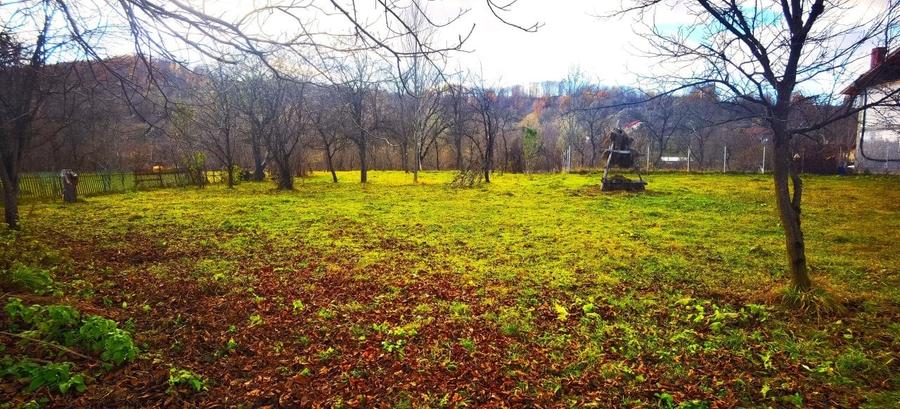 Teren de exceptie langa Breaza 2900Mp - 4