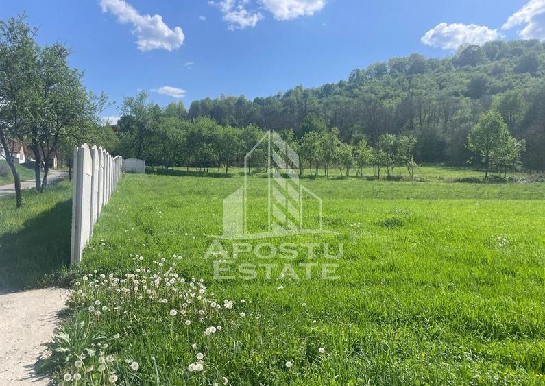 Teren intravilan, partial imprejmuit, eligibil grant- Poj... - 4