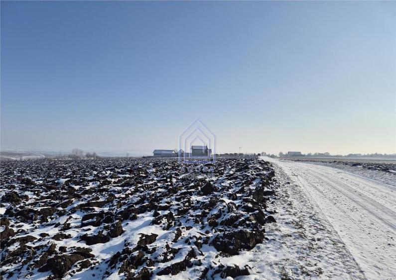 Teren extravilan Sf. Ilie - 3