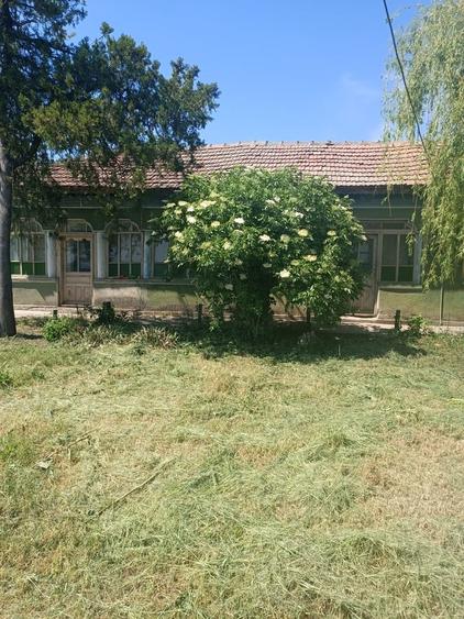 Comuna Baneasa, judetul Giurgiu - 6