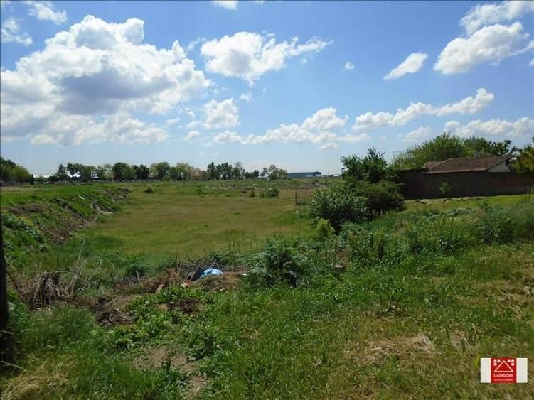 Teren Construcții intravilan de 27759 mp, în Zimandu Nou