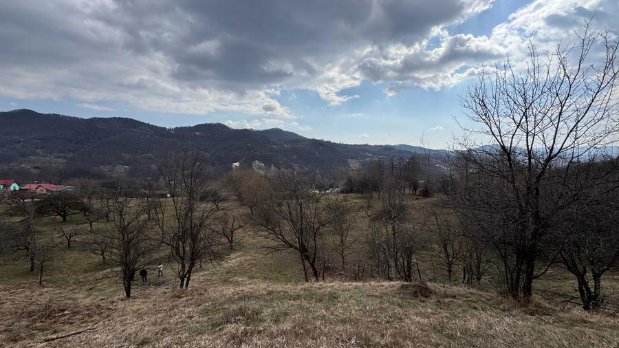 Teren intravilan + extravilan 9844 mp, Malu cu Flori, jud Dambovita - 4