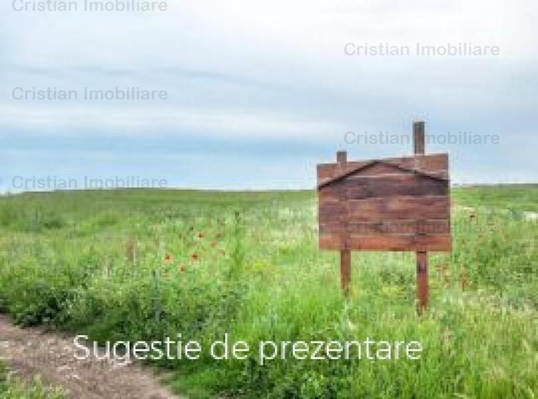 Teren intravilan de constructii, Centura, St - 8300 mp - 1