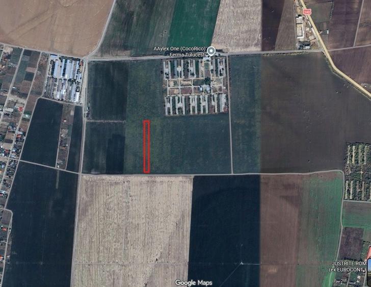 Teren de inchiriat langa ferma coco rico aproape de padurea Garboavele - 1