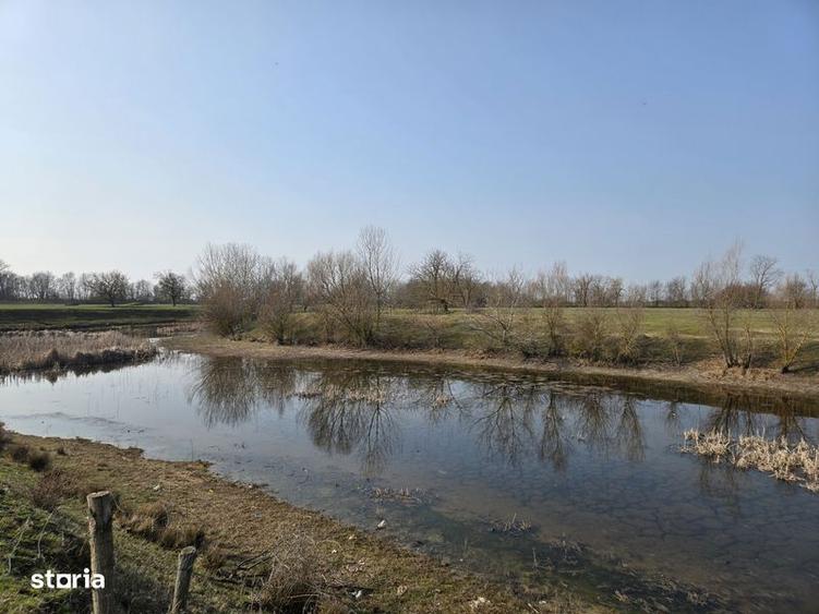 Vand Balta si teren 3 ha Otvesti - 1