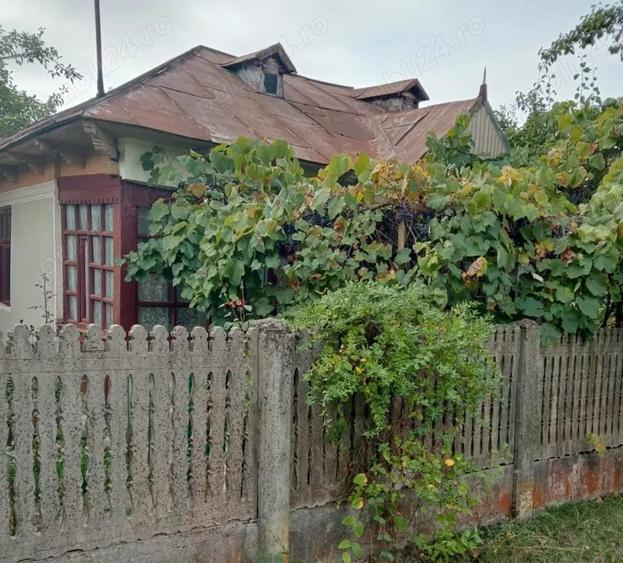 Vand casa la tara, complet utilata, doua locuinte in curte - 2