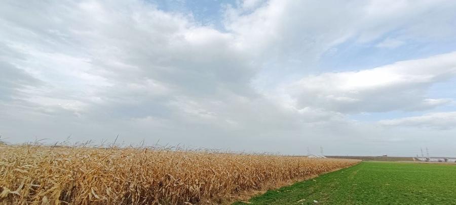 Teren intravilan industrial,str.Durau - 3