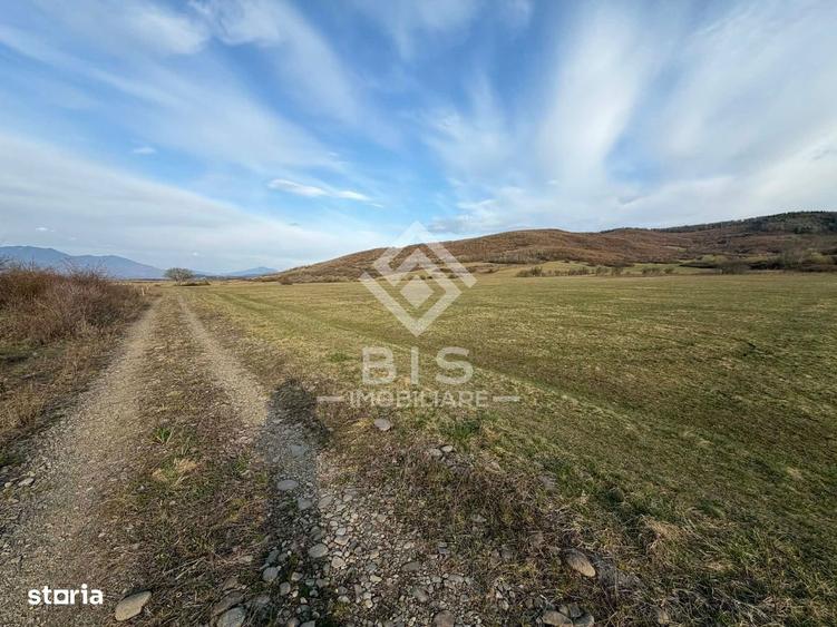 Teren de vanzare extravilan 1000mp - Aerodrom - 3