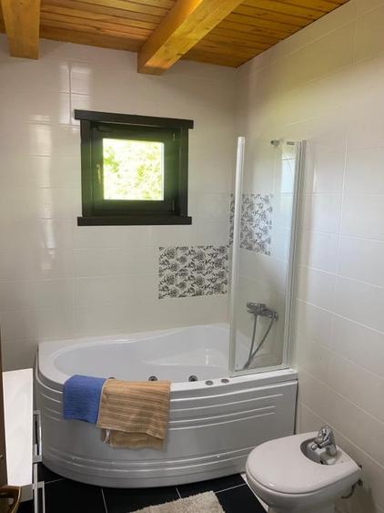 Casa de inchiriat 240mp utili, Zona Grigorescu - 14