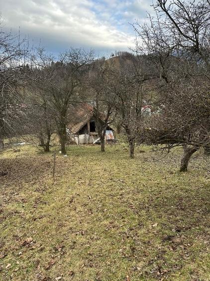 Teren de vanzare intravilan  Bran - 9