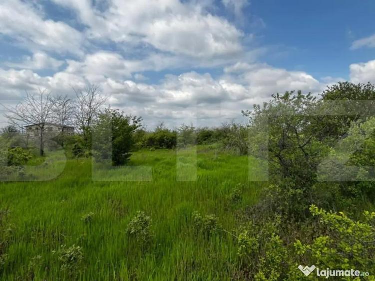 Teren intravilan 990 mp, front 33 ml, zona platou Carcea - 3