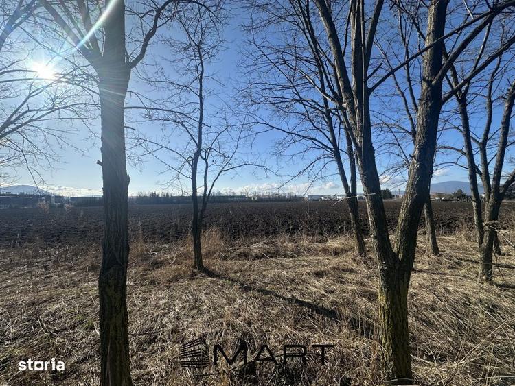 Teren Intravilan 60.000mp - 2