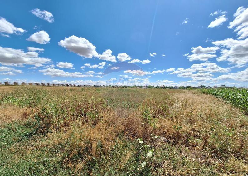 Teren Focsanei / DN sat Focsanei Vadu Pasii - 2