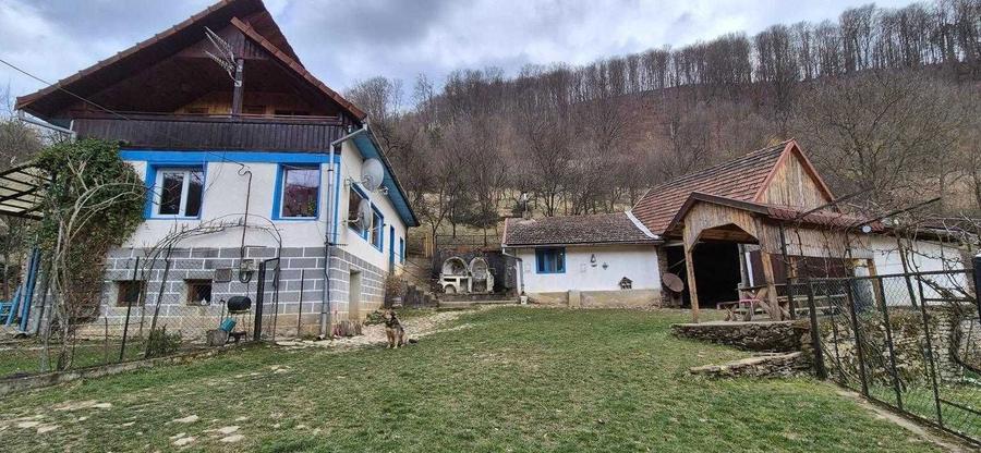Proprietar vand casa la munte cu 6.019 mp teren, gradina, livada, utilitati complete Bacaia (Geoagiu) - 1