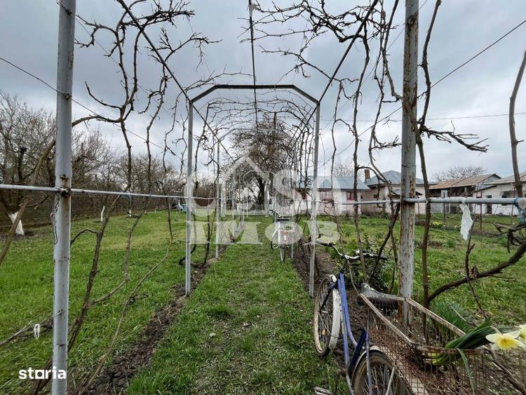 Casuta din lemn de weekend sau casa de vacanta cu teren si livada - 11