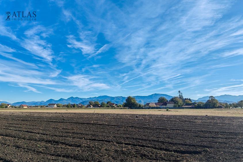 Teren ideal dezvoltare rezidențială, 8.121 mp, PUZ aprobat, utilități, Stupini - 5