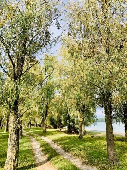 Mahmudia - teren intr o zona superba cu deschidere la apa - 2