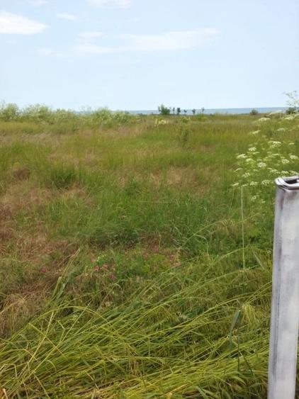 EXCLUSIV! Teren intravilan 2500 mp-2 Mai (Mangalia, Vama Veche)- 25 euro/mp (E3) - 6