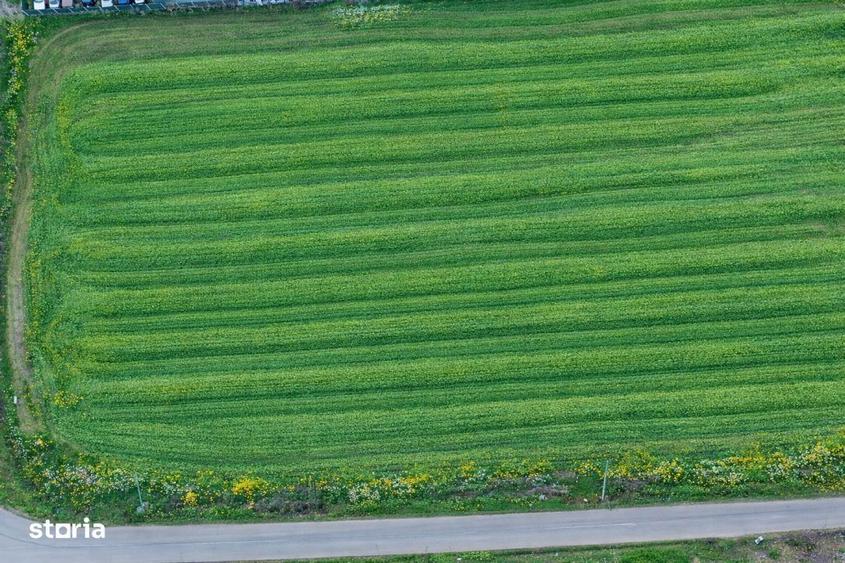 Teren intravilan 7.811 mp | Ciolpani, Ilfov | Acces drum public - 6