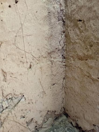 casa batraneasca de vanzare - 4