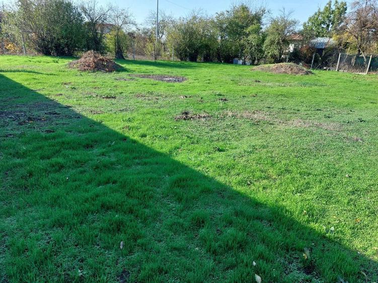 Urgent vanzare teren intravilan 829mp - Sat Tanganu, Cernica, Ilfov - 1