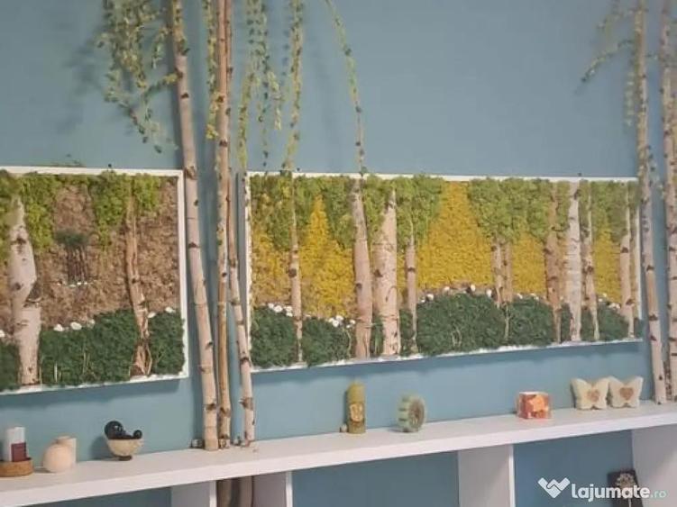 De inchiriat Spatii de birouri in Micro 16, Galati - 10