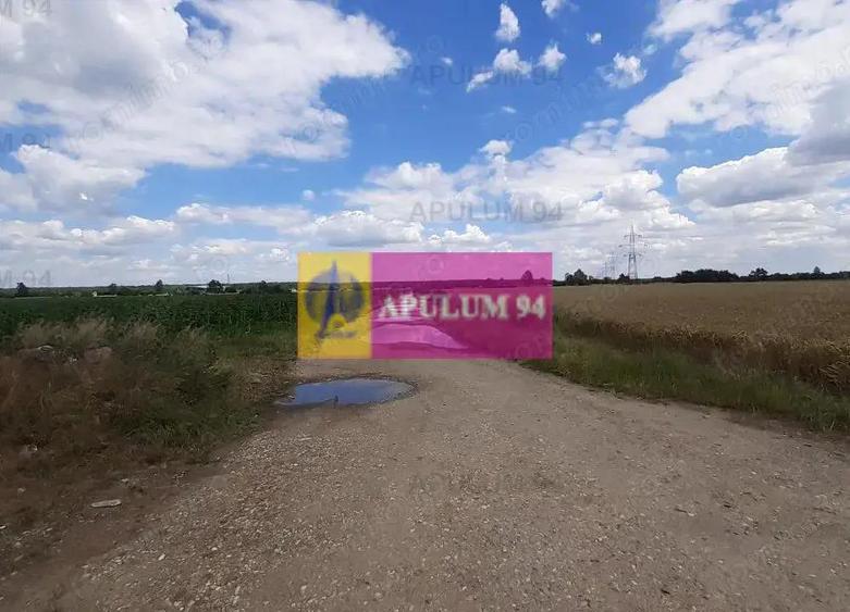 Teren 715mp in Snagov langa Equestria - 15