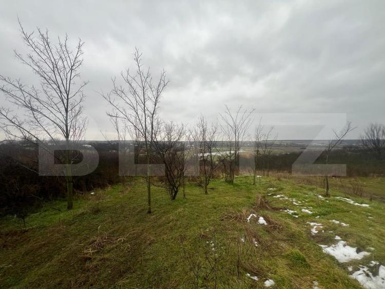 Teren intravilan, 2298 mp, strada Robanesti - 5