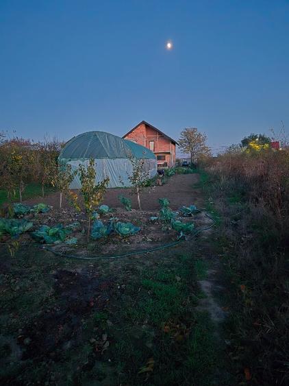 Vând casă Varlaam Giurgiu  - 6