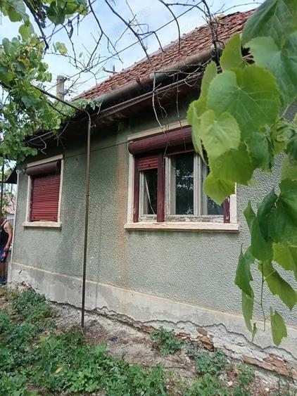 Casa ?i gradina 2100 mp - 10