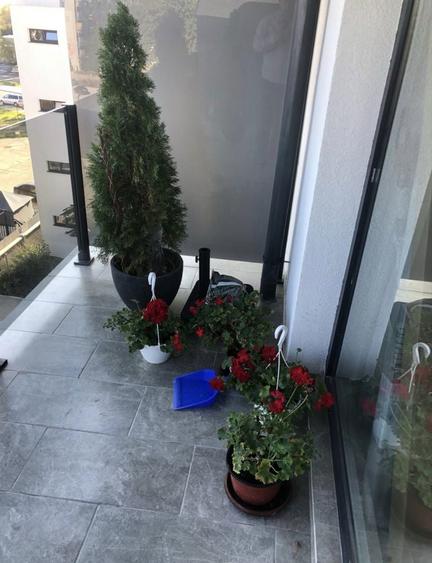 Statiunea SATURN Studio Nou SUNRISE - 6