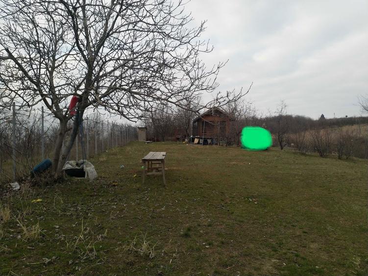 Teren proprietar Copou Iasi - 7